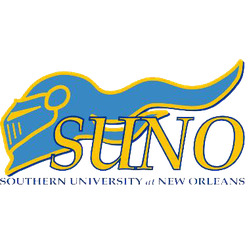 新奥尔良南部分校