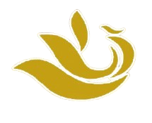 云南昆明凤凰橡胶传承明星足球队